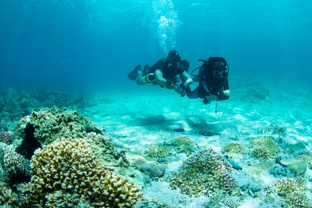 Divers Down UAE